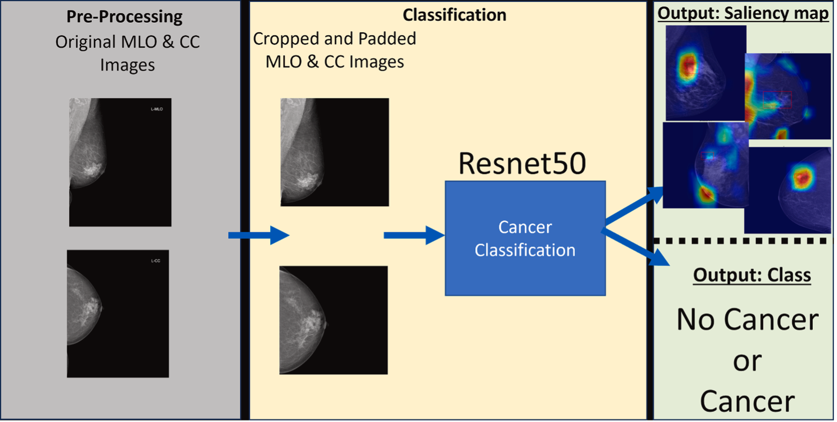 Evaluating Explainable AI Methods in Mammogram Analysis