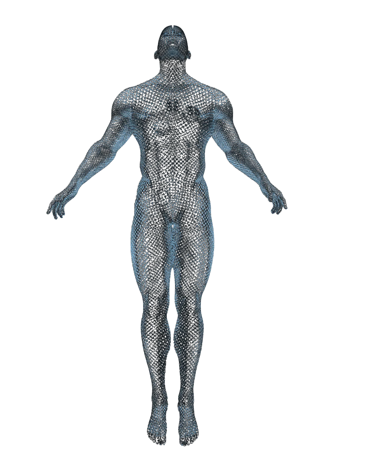 Human body diagram